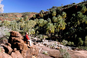 Palm Valley