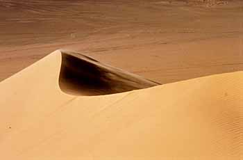 Dune